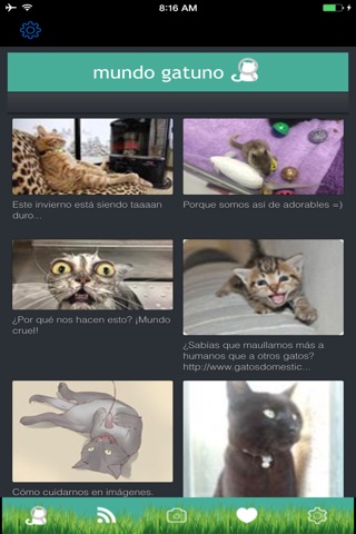 Mira mi gato screenshot 2