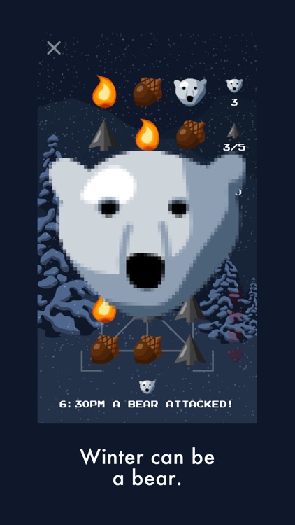 Bear Winter