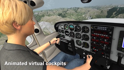 aerofly FS - Flight Simulator Screenshot 2