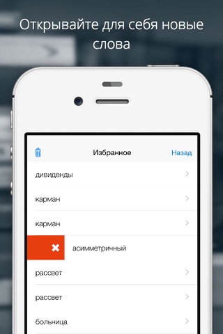 iСпеллер — словарь для проверки орфографии на каждый день screenshot 3