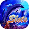 Dolphin Slot Machine Vegas