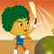 Awesome Beach Cricket Fever - new pitch cricket sports game