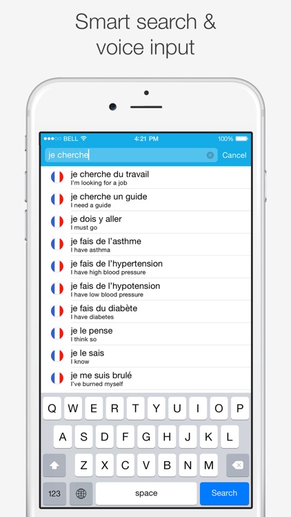 French — English Dictionary screenshot-4