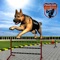 Police dog training  simulator is the best source of fun for all the dog lovers