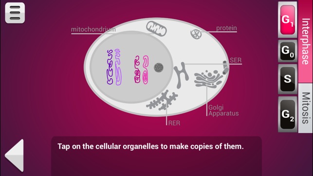 FCS Biology Mitosis & Meiosis (Lite)(圖4)-速報App