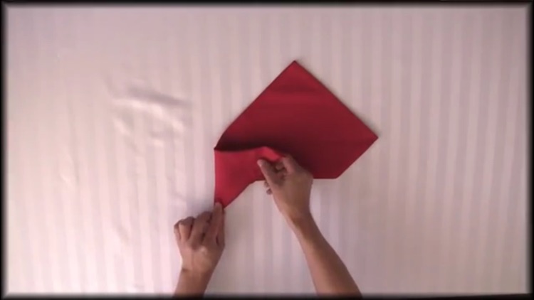 How To Fold Napkins screenshot-3