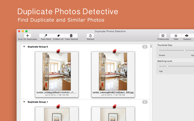 Duplicate Photos Detective