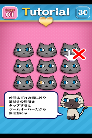 Brain Training - Aha cat looking screenshot 3