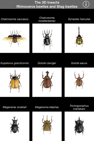 The 3D Insects I screenshot 2