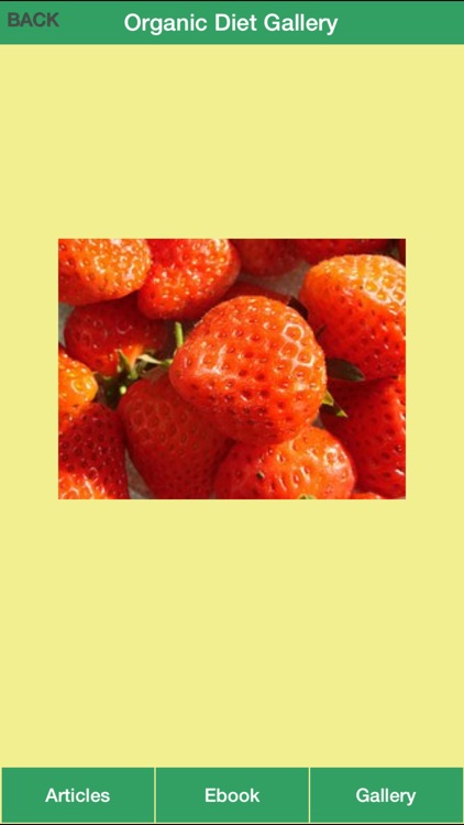 Organic Diet Guide - Have a Healthy & Fit By Eating Nutrition Food!