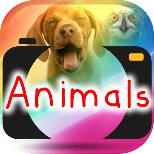 Paint On Photo Animals iOS App