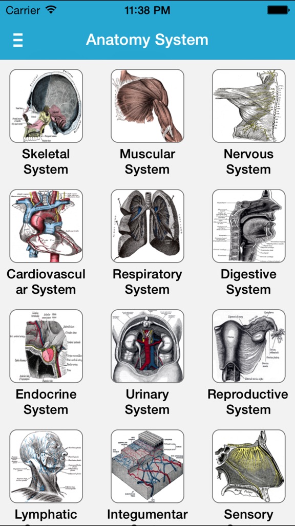【图】Gray’s Anatomy Pro 2014(截图2)