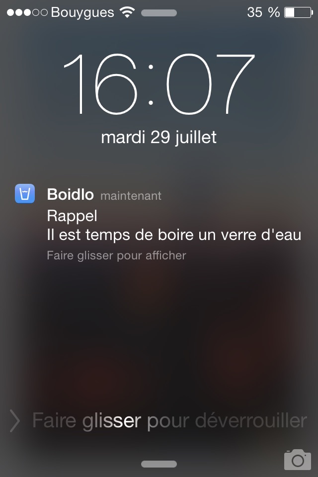 Boidlo screenshot 2