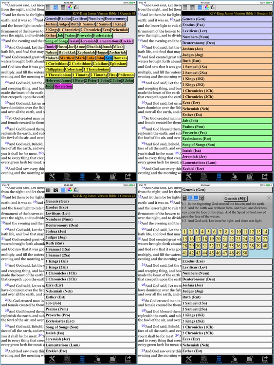 Holy Bible KJV(King James Version)HD screenshot-3