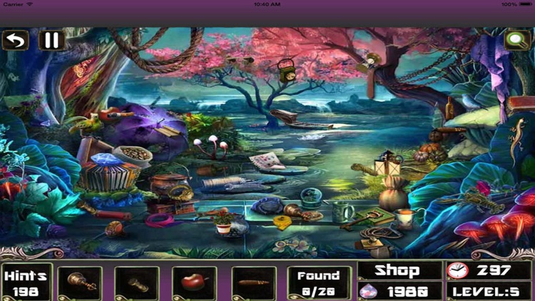 Hidden objects magical room