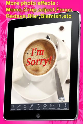 Sorry Cards with photo editor.Send sorry greeting card and custom apology ecards with text and voice messages! screenshot 4