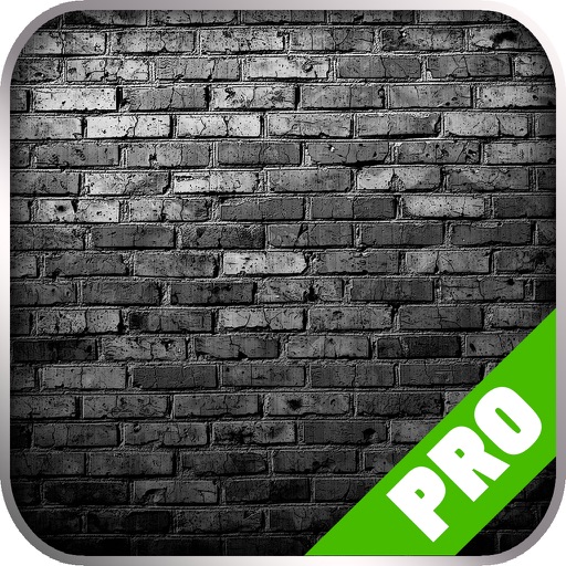 Game Pro - The Cat Lady Version iOS App