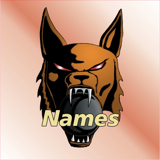 Meshan Basic Name Generator Icon