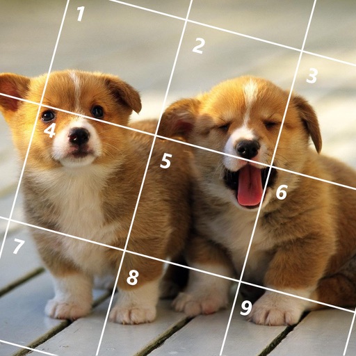 Cute Dogs Jigsaw Puzzles icon