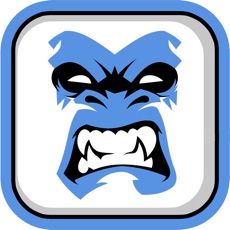 Activities of Block City Kong