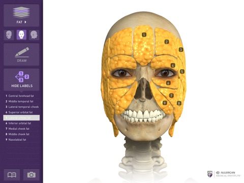 Interactive Anatomy - KW screenshot 4