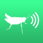 Top 10 Entertainment Apps Like Crickets - Best Alternatives