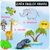 Learn english animal