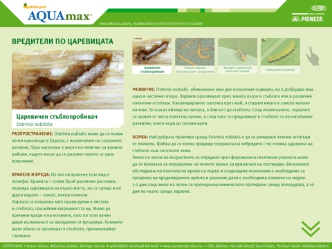 DuPont Pioneer Optimum® AQUAmax® продуктова информация screenshot 2