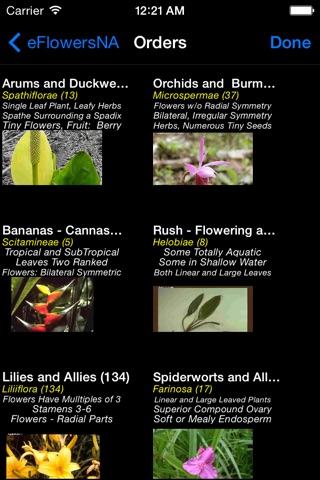 Wildflowers of North America - eFlowersNA - A Wildflower App screenshot 2