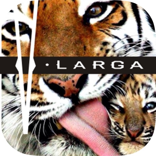 Vlarga icon