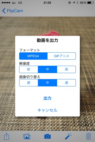 FlipCam screenshot 4
