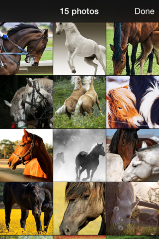 99 Wallpaper.s - Beautiful Backgrounds and Pictures of Horse and Pony screenshot 2