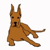 Dog Obedience Guides - Train Your Dog Effectively, Dog Training Tips, Dog Gallery