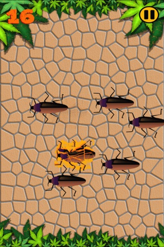 Bug Zapper - Squash Bugs screenshot 4