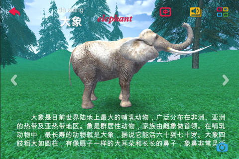 3D动物园-儿童早教双语三维认识动物 screenshot 4