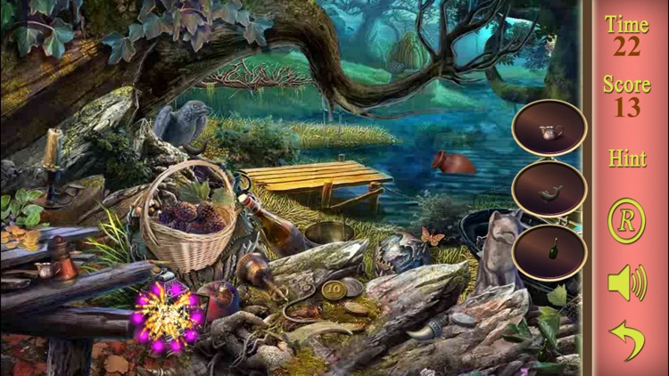 Hidden Objects A Sourceress Potoin