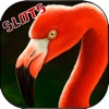 Flamingo of Luck Slots of Vegas - FREE Slot Game Casino Roulette