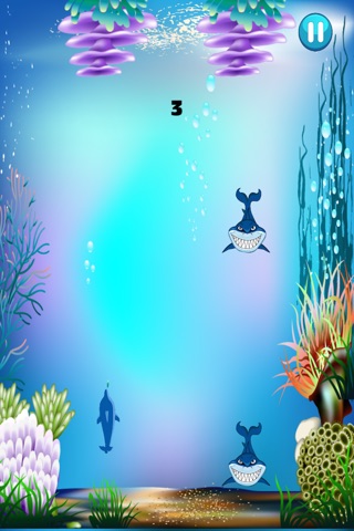 Dolphins vs Sharks Survival Craze - Fun Master of the Sea Challenge Free screenshot 4