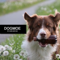 Dogmoe - ein Aussie packt aus pour PC