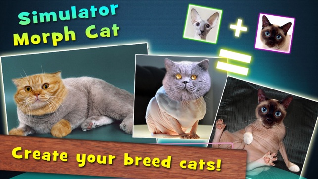 Simulator Morph Cat