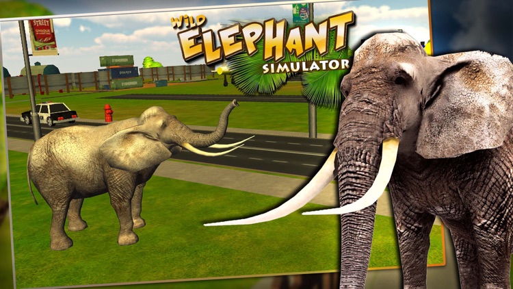 Wild Elephant Simulator 3D - Real Rampage of Angry Animal to Run & Destroy Everything