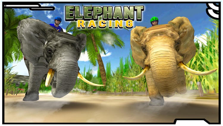 Elephant Racing