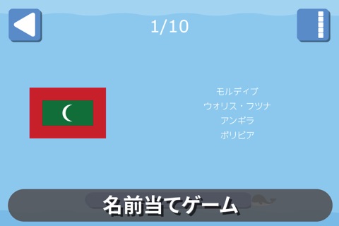 FlagPlay screenshot 3