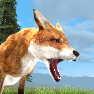 Clan Of Fox