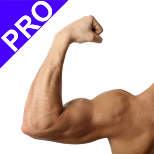 Arm Workout Pro icon