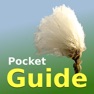 Get Pocket Guide UK Grasses for iOS, iPhone, iPad Aso Report