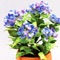 If you've ever wanted to create beautiful flowers and plants in miniature, then this is the video course for you