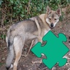 Dogs- Jigsaw Puzzles