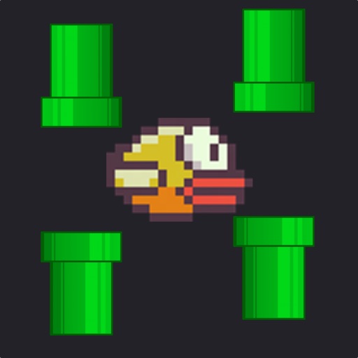 Jumpy Bird - Night Mode Tiny Bird Fly Adventure icon