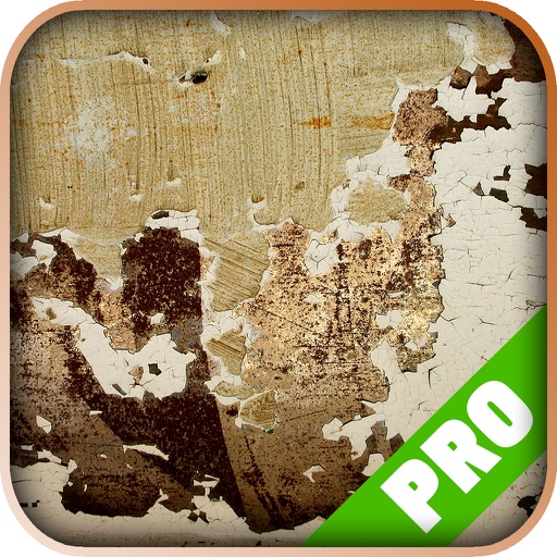 Game Pro - Verdun Version iOS App